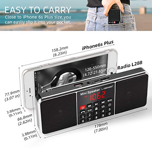 PRUNUS J288 Portable Radio AM FM Radio with Bluetooth Speaker, Sleep