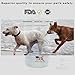 Best Liquid Glucosamine for Dogs, Non-GMO, 32oz Hip and Joint Supplement, Faster Than Chews, Arthritis Pain Relief: Chondroitin, MSM, Hyaluronic Acid, Manganese, Extra Strength, FREE eBook