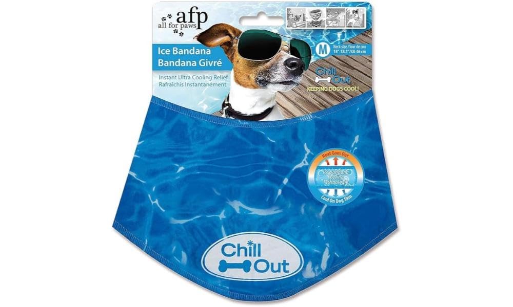 ALL FOR PAWS Chill Out Dog Bandana, Small, 1.0901 kg, blue