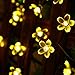 easyDecor Solar String Lights 50 LED 23ft 8 Modes Blossom Flower Garden Christmas lights for Outdoor Indoor Party Wedding Patio Holiday Decorations (Multi Color) (Warm White)