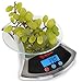 Hot Target Elegant Digital Kitchen Scales Extra Large Capacity- 22lb/10kg (in graduations of 0.05 oz -1 gram). Includes Batteries (Chrome).