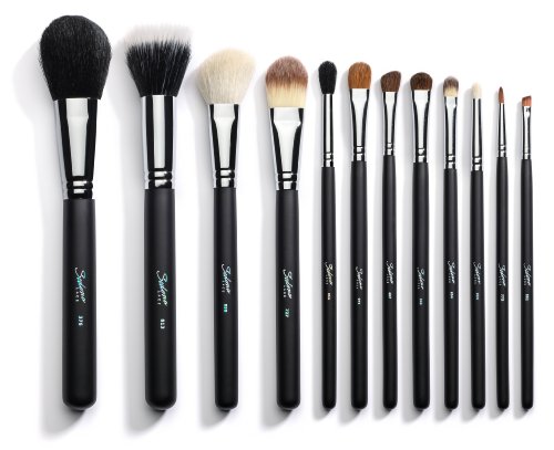 Sedona Lace 12 Piece Professional Makeup Brushes - Black