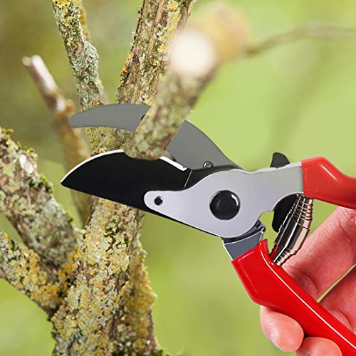 Terme 8" Small Professional Pruning Shears for Garden, Heavy Duty Tree Trimmers Sharp Bypass Hand Pruners with Stainless Steel Blades and Ergonomic Handle Fruit Trimming Tool - Thumbnail 5