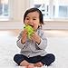 Infantino Squeeze and Teethe Textured Pal, Frog