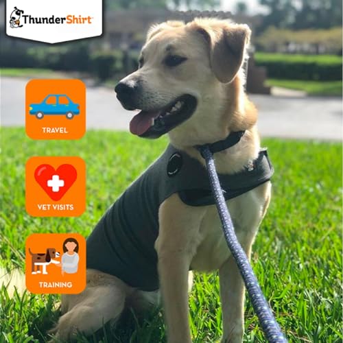 ThunderShirt Classic Dog Anxiety Jacket, Heather Grey, Small Pricepulse