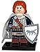 The King in The North - Game of Thrones Minifigure