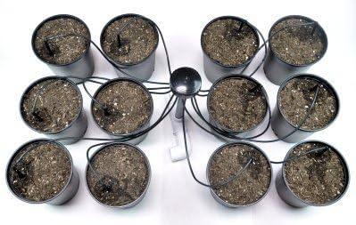 12 Outlet Hydroponic Irrigation Kit