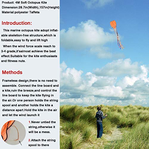 image for FUN LITTLE TOYS 2 Pack Rainbow and Octopus Kites for Kids and Adults, 