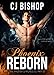 PHOENIX REBORN (The Phoenix Chronicles Book 3)