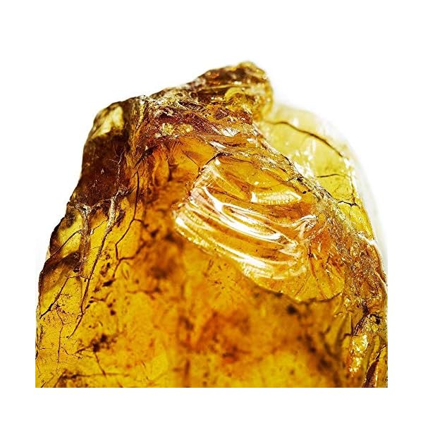 DAVIDOFF Cool Water Man Eau de Toilette