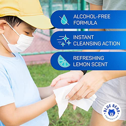 Blue Bear Protection Antibacterial Hand Wipes, Wet Wipes, Hand Cleaning