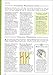 10,001 Hints and Tips for the Home (Hints & Tips)
