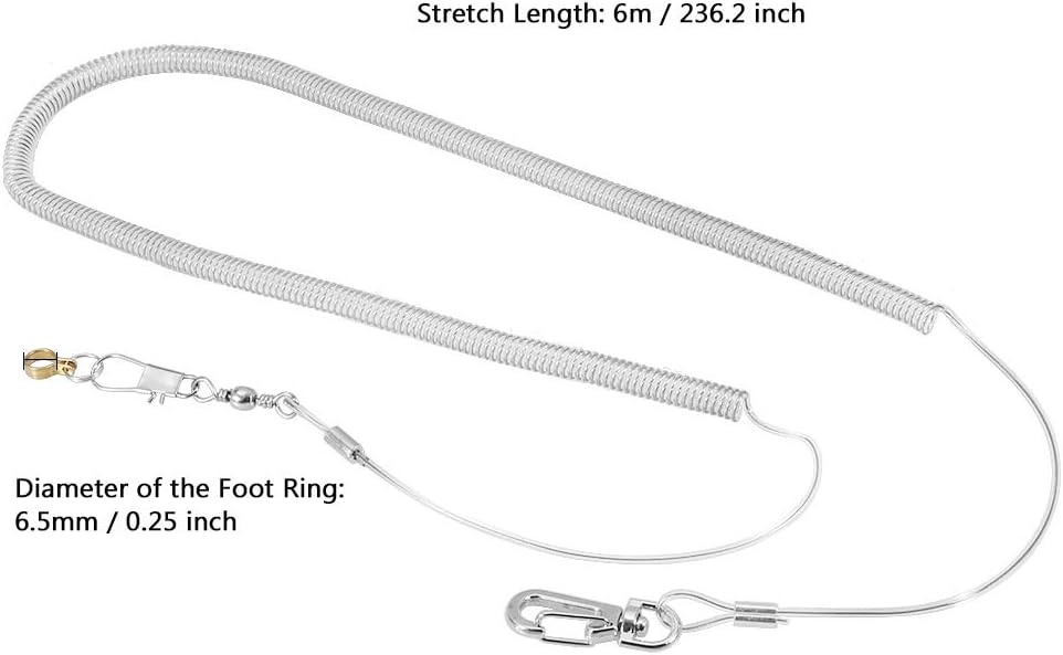 Bird Leash, Parrot Flying Training Rope for Small Birds African Grey Cockatoo Parakeet Cockatiel 6m Anti-bite Rope with 6.5mm Foot Ring - Image 3