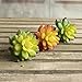 Neomark Set of 3 Vinyl Artificial Succulent Cactus Plants for Office Home Decor Craft Making