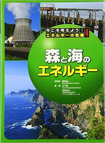 森と海のエネルギー 今こそ考えよう エネルギーの危機 健 木下 欣也 坂西 純一 藤野 本 通販 Amazon