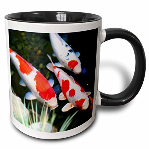 3dRosemug_62378_4 "Japanese orange n White Koi Fish" Two Tone Black Mug, 11 oz, Multicolor
