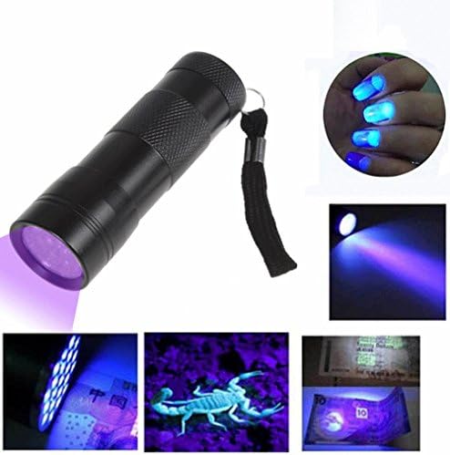 UV Ultra Violet 12 LED Flashlight Blacklight Light 395 nM