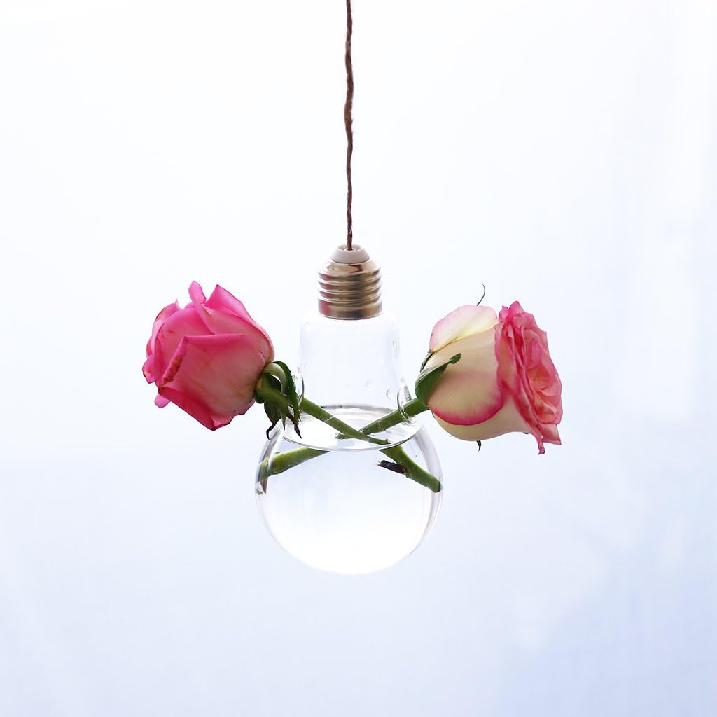 Ivolador Terrarium Container Flower Planter Hanging Glass for Hydroponic Plants Home Garden Decor -3 Type : Garden & Outdoor