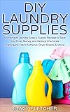 DIY Laundry Supplies: Homemade Laundry Soap & Supply Recipes to Save You Time, Money, and Reduce Chemicals (Detergent, Fabric Softener, Dryer Sheets, More) by Stacy Fletcher