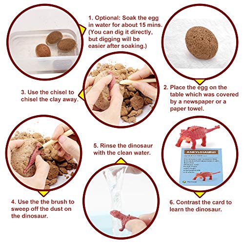 VATOS Dinosaurier Eier 12 Stück, Dinosaurier Ei Toy Entdecken sie 12 Verschiedene Dinos, Archäologie Spielzeug STEM Lernspielzeug Party Dinosaur Figuren für 6-10 Jahre Jungen Mädchen Kinder Geschenk – Bild 6