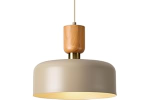 TeHenoo Contemporary Pendant Lights with Wood Cap, Brass Accent, 12 inch Light Brown Metal Shade,for Kitchen, Dining Room, Cafe