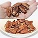 Divine Organics Raw Polynesian Pili Nuts 16 oz.