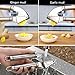 beegod Grillers Garlic Ginger Press Crusher Squeeze Tool and Peeler Set Useful Convenient Kitchen Accessories