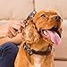 Paws Pamper Undercoat Rake for Small to Medium Dogs or Cats - 12 Blade Dematting Comb