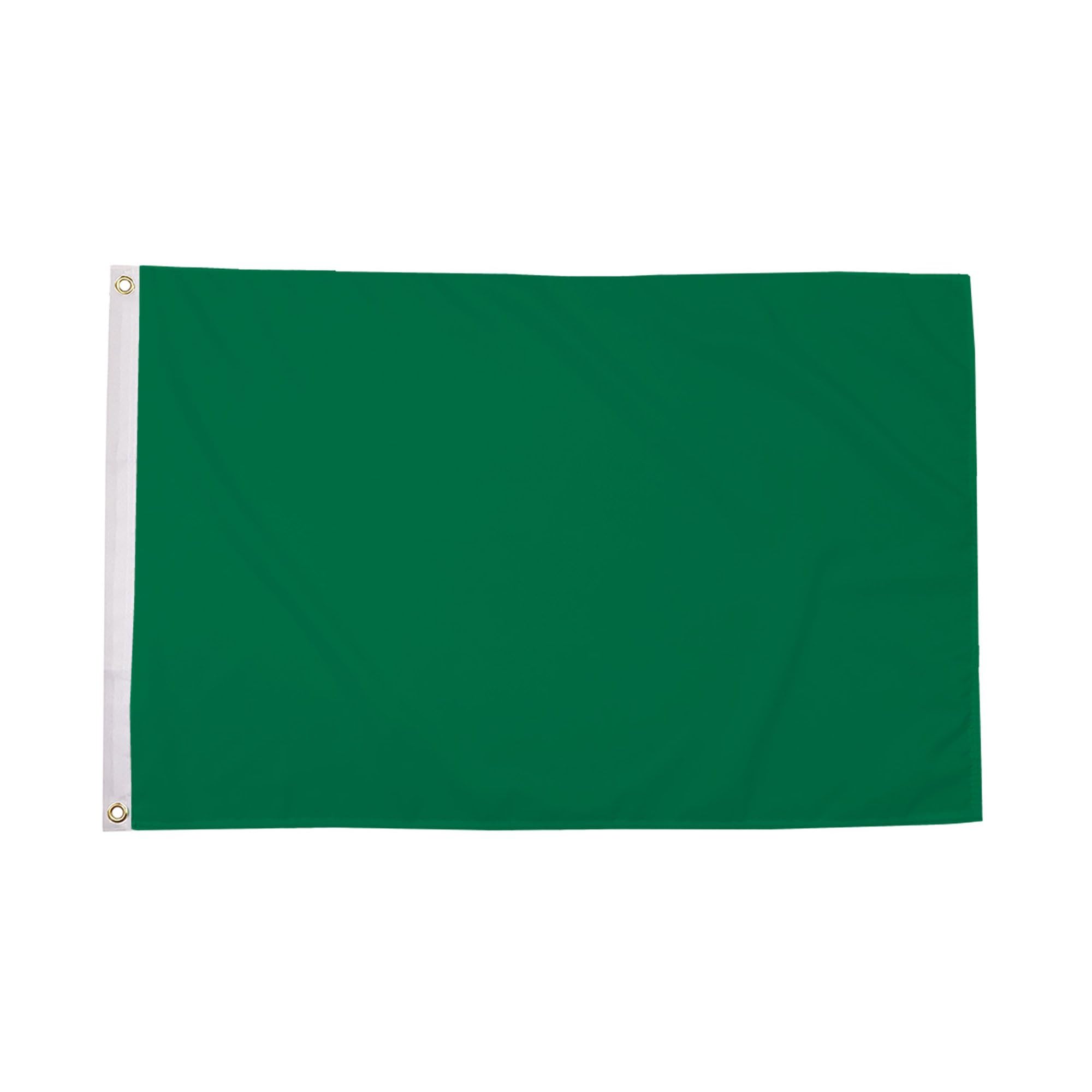 Flagtex Green Plain Colour Flag 5ft x 3ft (150cm x 90cm) - Solid Green Vivid Outdoor Polyester Flag Weather Resistant Banner for Garden Display Sports Events — image 1