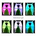 RABOW LED Reflective Vest USB Rechargeable for Running Cycling Walking with Multicolored Fiber Optics, Night Safety Gear, Size Adjustable for Men and Women