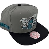 Mitchell & Ness Charlotte Hornets NBA Storm Front HWC Snapback Hat Cap Gray/Black