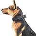 Pettom Tactical Dog Adjustable Collar Military Training Molle Nylon Dog Collar Leash With Handle Steel Buckle 1.5'' (L, Brown)