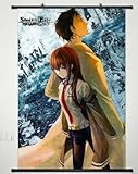 NEW Home Decor Anime Steins;Gate Cosplay Wall Scroll Poster Fabric Painting Makise Kurisu 23.6 X 35.4 Inches-075