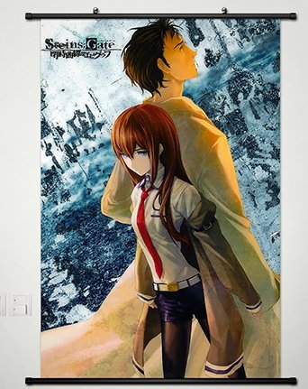 NEW Home Decor Anime Steins;Gate Cosplay Wall Scroll Poster Fabric Painting Makise Kurisu 23.6 X 35.4 Inches-075