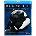 Blackfish