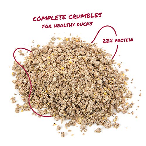 Manna Pro Duck Starter Grower Crumble NonMedicated Feed for Young