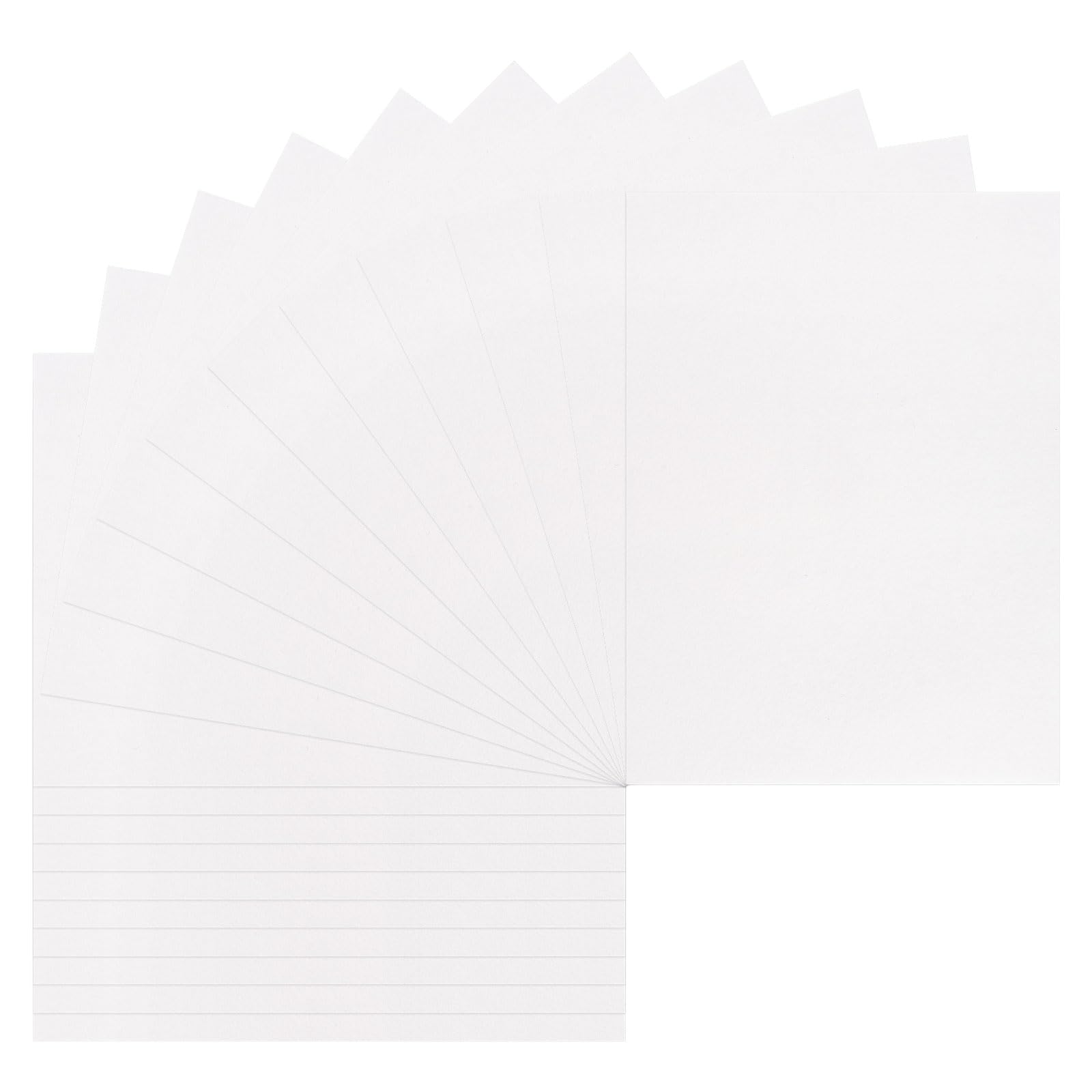 WANDIC Flower Pressing Accessories, Dried Flower Leaf Plant Fruit Pressing Replacements Kit for DIY Art Handicrafts Specimens Outdoor Learning (Paper)