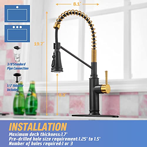 Achelous Black and Gold Farmhouse Kitchen Faucet with Pull Down Sprayer