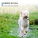 Bark Collar [2018 Smart Chip] Dog Shock Anti-Barking Collar with Beep, Vibration and Harmless Shock. No Bark Control for Small/Medium/Large Dogs with 7 Sensitivity Levels, Rechargeable and Rainproof
