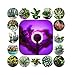 Z-LINE Group LED Grow Lights for Indoor Plants - 5W Grow Light Clip Lamp with 360 Degree Flexible Gooseneck