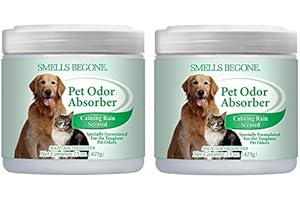 SMELLS BEGONE Air Freshener Odor Absorber Gel - 15 oz, Pack of 2 - Absorbs and Eliminates Odor in Pet Areas, Bathrooms, Cars, & Boats - Made with Essential Oils - Calming Rain Scent