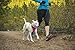 RUFFWEAR - Front Range, Everyday No Pull Dog Harness with Front Clip, Trail Running, Walking, Hiking, All-Day Wear, Alpenglow Pink (2016), Small