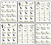 Bachelorettesy Wedding Temporary Tattoos 6 Sheets Bride Bachelorette Stickers 100+ Metallic Gold Tattoos for Bridal Party, Bachelorette Trip, Bridal Shower Party Decorations, Party Favors (Nina)
