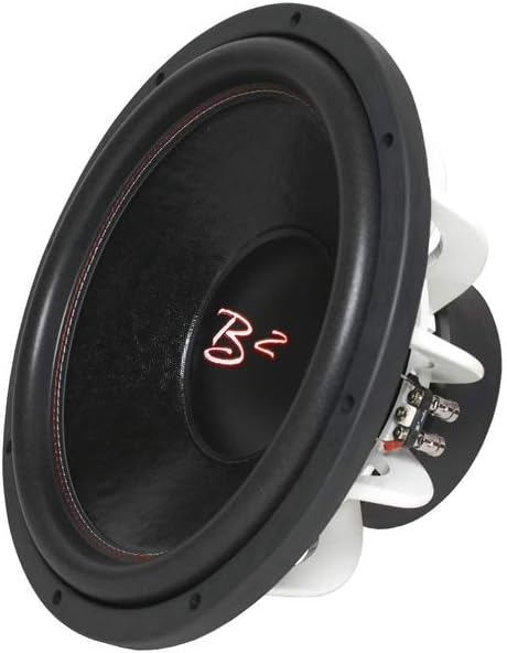 b2 10 inch subwoofer