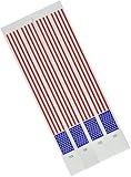 Patrotic Tyvek Wristbands (100/Pkg)