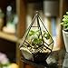NCYP Mini Wall Hanging Glass Terrarium, 4.5 x 4.5 x 5.3 inches Diamond Shape Geometric Terrarium for Succulent Plant, Desktop Decor, Mini Centerpiece, Modern (Plants Not Included)