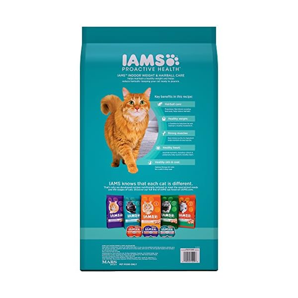 iams cat weight control