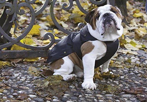CROCI Padded Jacket Specific Fitting for French Bulldog English Bulldog and Carlino for Dogs 36 cm, black - Image 3