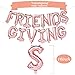 Friendsgiving Decorations Friendsgiving Balloon Banner | Thanksgiving Friends Party Decoration | Rose Gold, 16inch tall