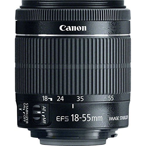 Canon EOS Rebel T5i DSLR Camera with Canon EF-S 18-55mm f/3.5-5.6 IS STM Lens + NEW VIDEO BUNDLE KIT + EXTRA MEMORY CARDS